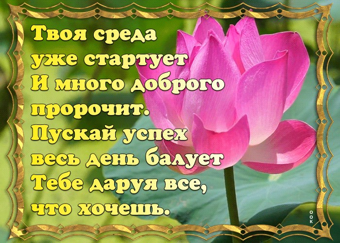 Открытки